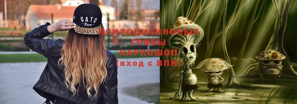 твердый Абинск