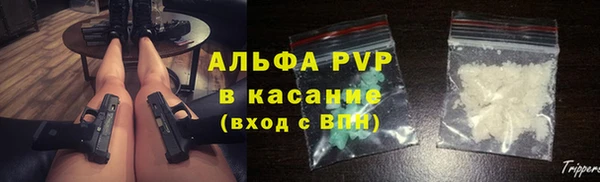 стафф Алексин
