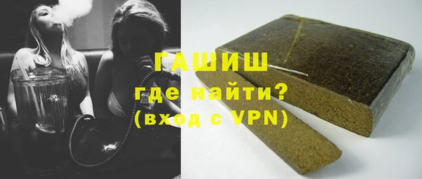 стаф Каменка