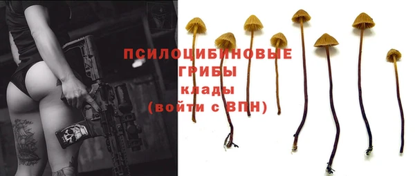 бошки Абдулино