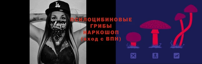 стафф Алексин