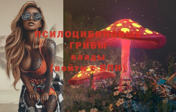 твердый Абинск