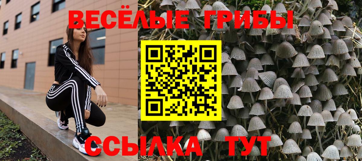 Галлюциногенные грибы мухоморы  Вход с VPN  Истра 