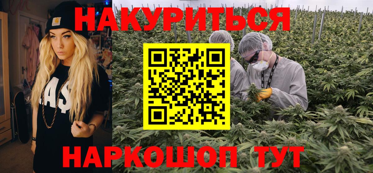 Конопля гибрид Истра